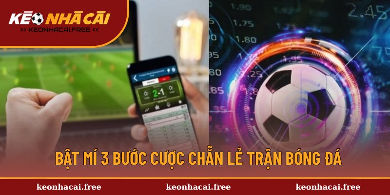 Chia sẻ quy trình chơi kèo cược chẵn lẻ