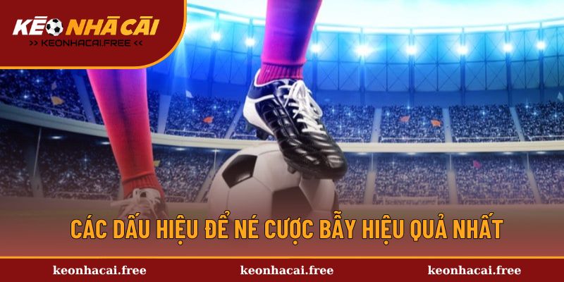 Các dấu hiệu để né cược bẫy hiệu quả nhất