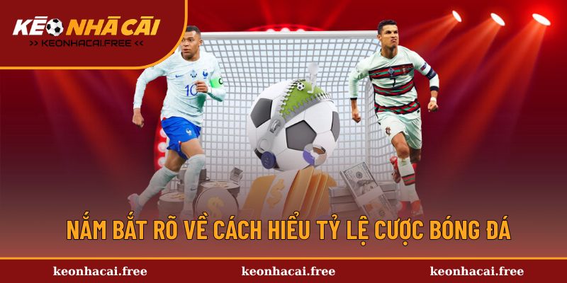 Kiến thức cơ bản về tỷ lệ cược bóng đá