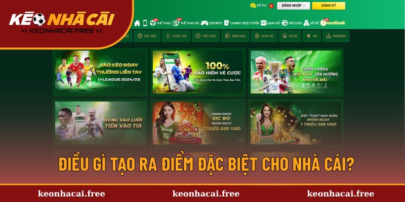 Lý do nhà cái thu hút hơn triệu thành viên