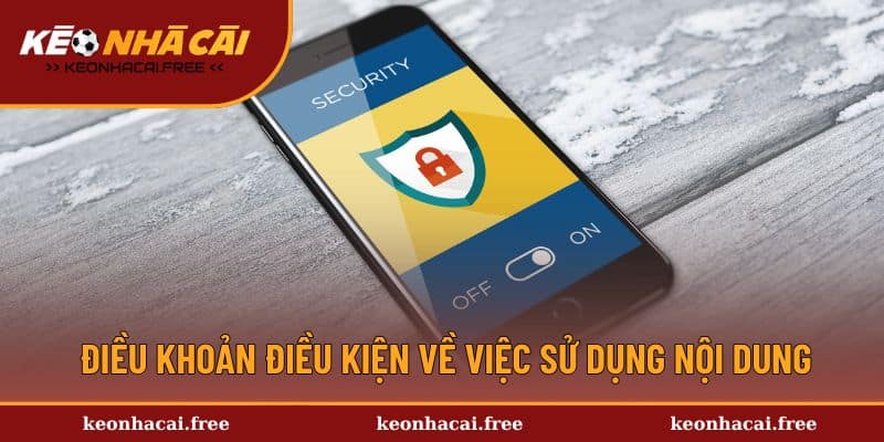 Điều khoản điều kiện về việc sử dụng nội dung hệ thống