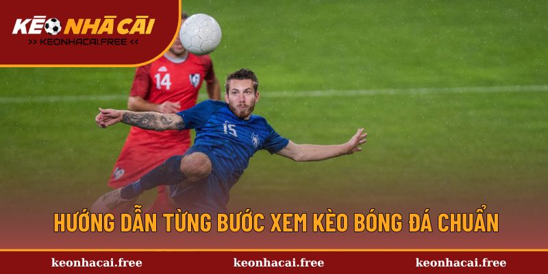 Hướng dẫn từng bước xem kèo bóng đá chuẩn
