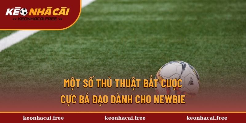 Một số thủ thuật bắt cược cực bá đạo dành cho newbie